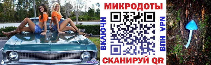 Псилоцибиновые грибы MAGIC MUSHROOMS  что такое   Юрга 